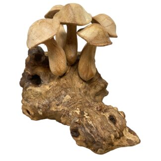 Five smooth cap mushrooms on root base